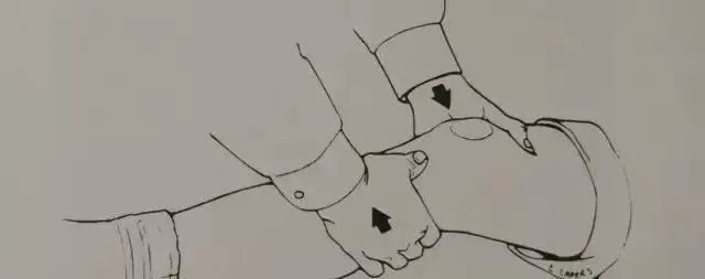 交叉韧带运动康复_前交叉韧带康复训练图_交叉韧带康复科一天多少钱