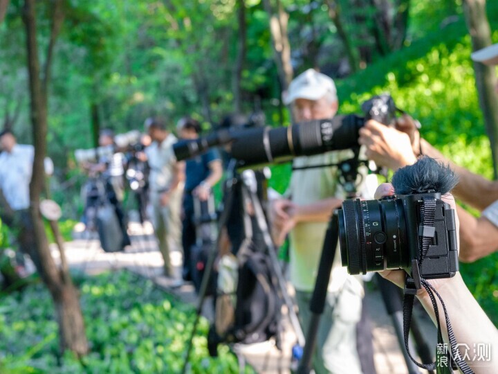 索尼ZV-E1相机体验，选卡、选镜头一文看全_新浪众测