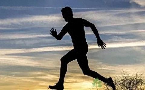 巅峰国际pg平台官网 最后，跑步机的选择建议