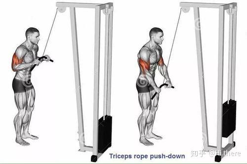 健身入门词汇解释_健身手套怎么戴_健身解剖词汇学习