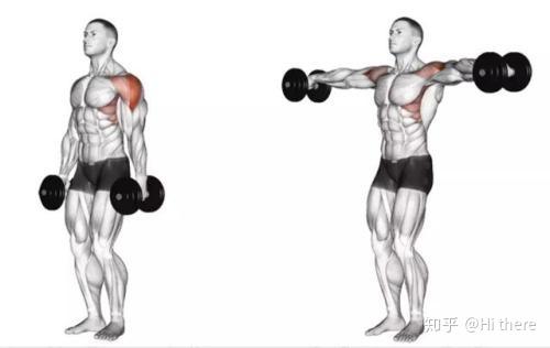 健身解剖词汇学习_健身手套怎么戴_健身入门词汇解释