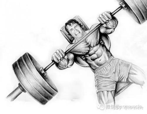 健身手套怎么戴_健身入门词汇解释_健身解剖词汇学习