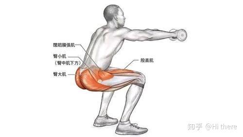 健身入门词汇解释_健身手套怎么戴_健身解剖词汇学习