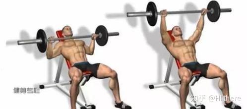 健身入门词汇解释_健身解剖词汇学习_健身手套怎么戴