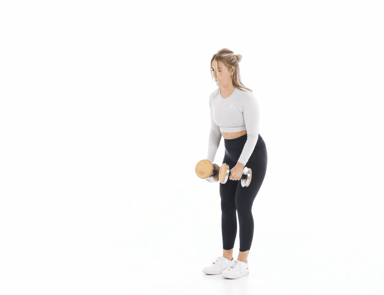 大飞鸟综合训练器_哑铃居家增肌训练_哑铃训练动作大全