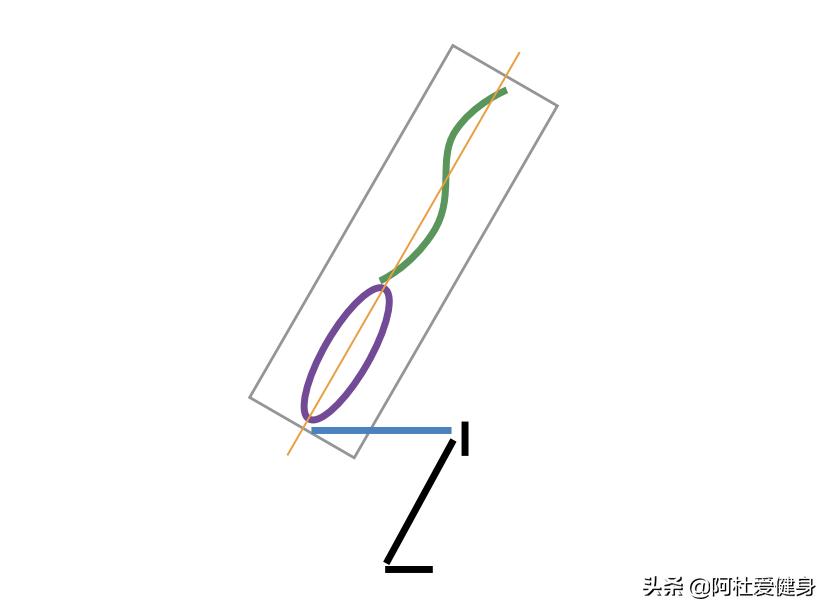 pg电子娱乐平台 GHD仰卧起坐，一种进阶版的腹部核心训练