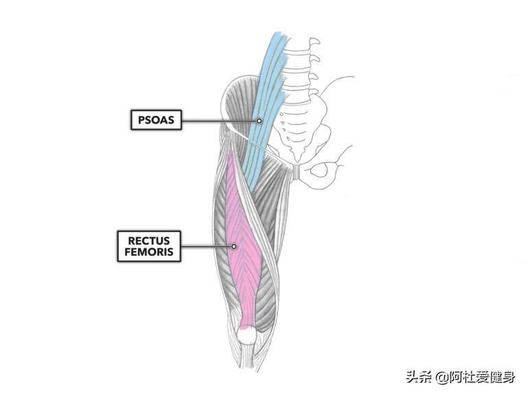 GHD仰卧起坐_仰卧起坐健身器怎么用_CrossFit核心训练