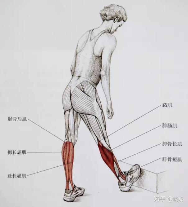 脂肪腿改善法_瘦腿训练方法_瘦腿操练视频