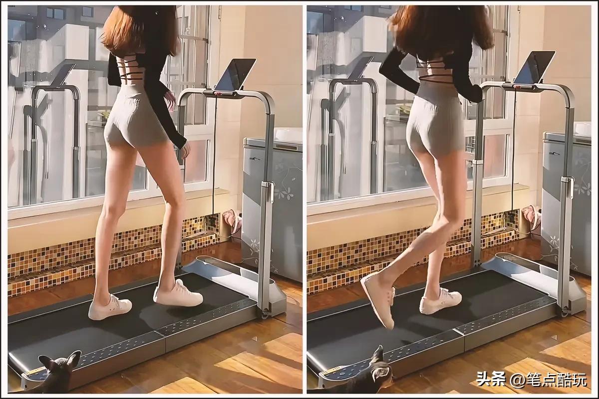 居家健身器材选购指南_动感单车选购要点_跑步机什么牌子好 百度知道