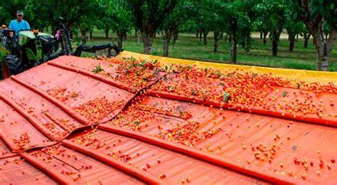 反重力跑台原理_反重力跑步机原理_反重力跑步机的作用