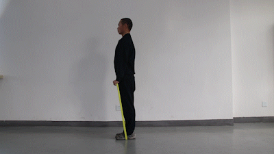 健身拉力带如何锻炼方法_弹力带训练动作大全_弹力带在家锻炼方法