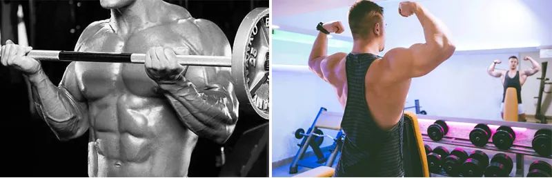 问鼎赏金女王pg官网入口下载 练肌肉，到底要不要顶峰收缩？