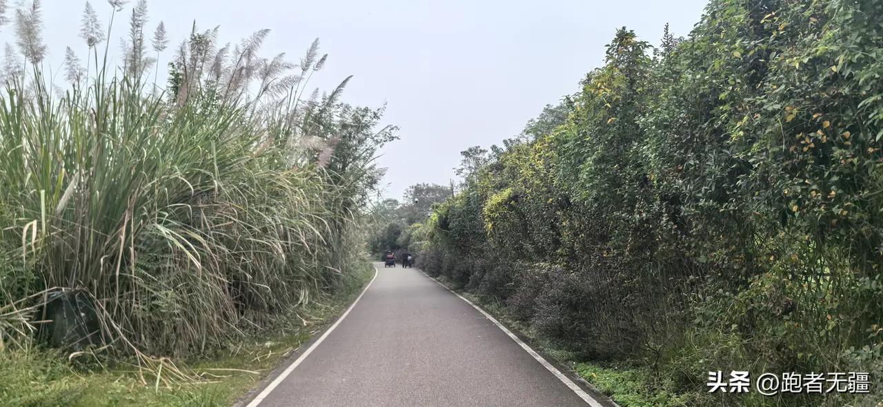 短跑运动员 一般身体训练方法_科学跑步计划_跑步克服疲劳