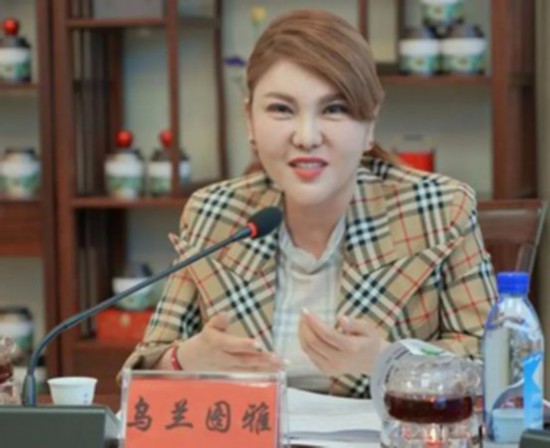 乌兰图雅参加2019“健康中国人”圆桌论坛并发言