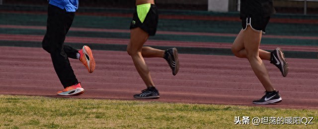 免费qq黄钻网站大全下载 耐力的真相：科学配比，告别“瞎跑”