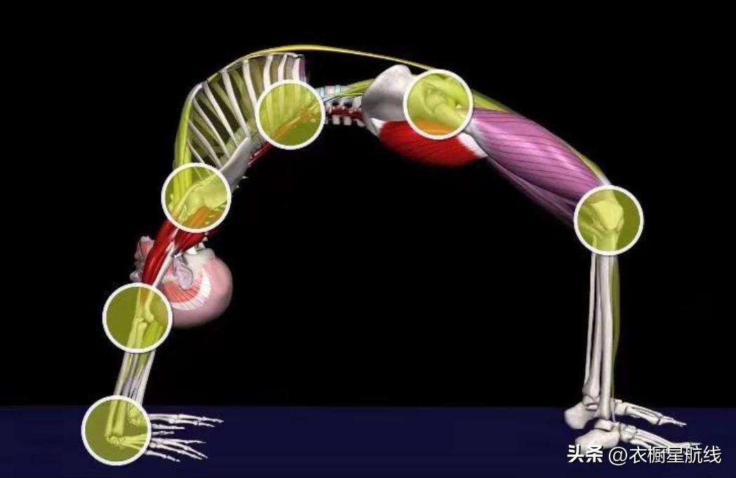 瑜伽后弯服装选择_轮式瑜伽穿搭_瑜伽拉力带锻炼方法