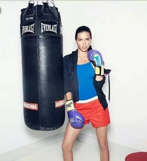 schiek健身手套_拳击手套品牌推荐_Everlast拳击手套价格