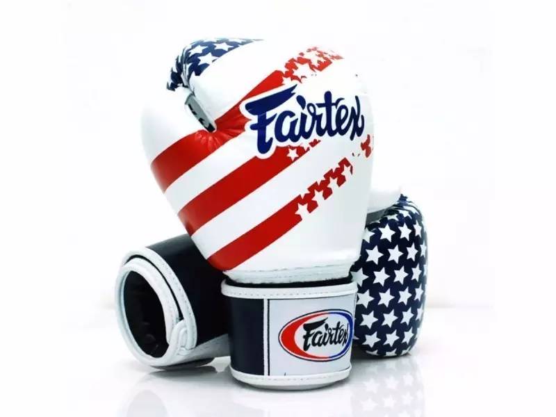 schiek健身手套_拳击手套品牌推荐_Everlast拳击手套价格