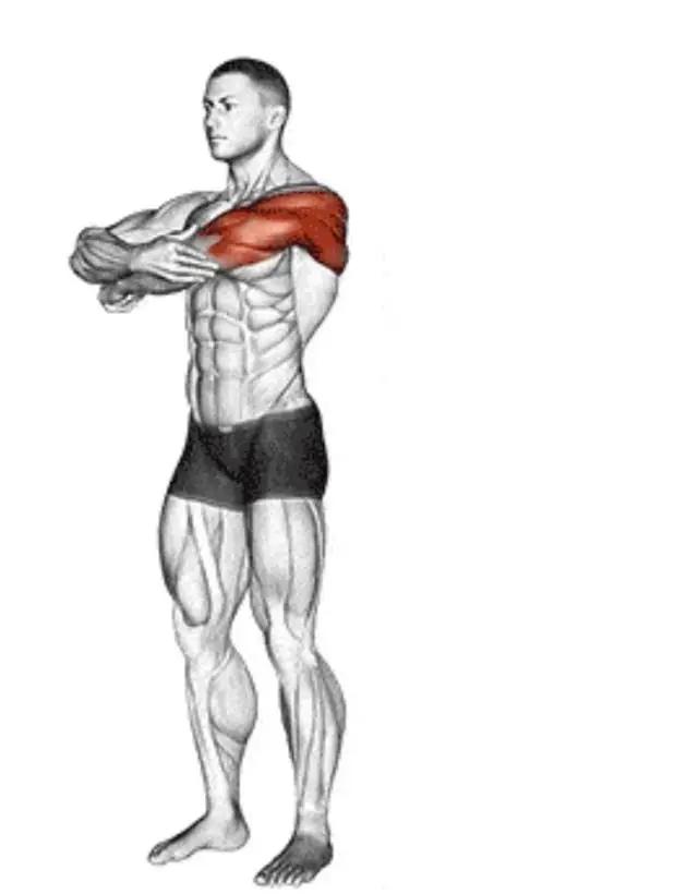 拉伸运动好处_瑜伽拉力带锻炼方法_办公室拉伸动作