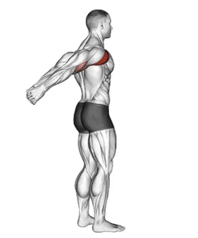 拉伸运动好处_瑜伽拉力带锻炼方法_办公室拉伸动作