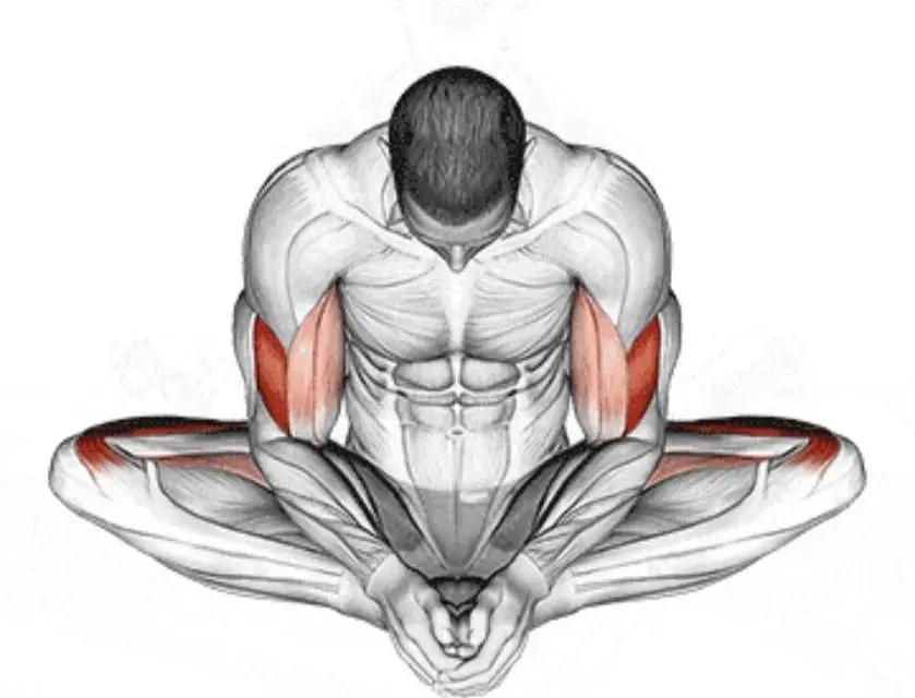 办公室拉伸动作_拉伸运动好处_瑜伽拉力带锻炼方法