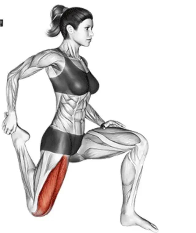 办公室拉伸动作_拉伸运动好处_瑜伽拉力带锻炼方法