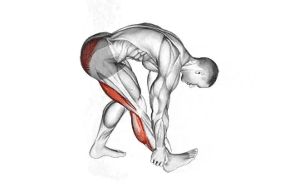 办公室拉伸动作_拉伸运动好处_瑜伽拉力带锻炼方法