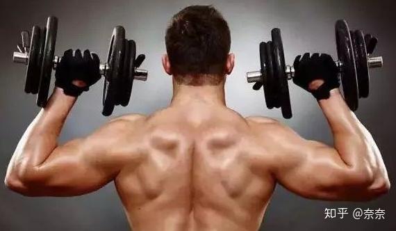 健身训练手套_健身手套_手套健身训练图片