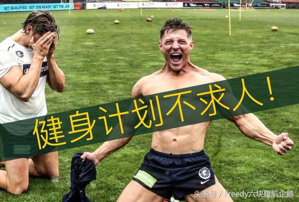 个性化健身计划方案_健身计划设计组数次数_健身肌肉分离度怎么提高