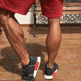 瘦小腿不同类型针对性训练_瘦腿操下载_判断肌肉腿脂肪腿水肿腿