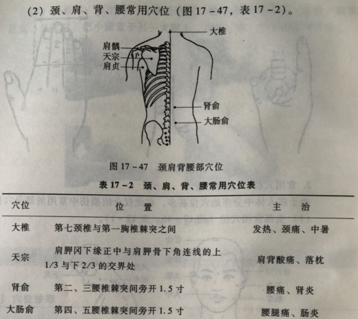 运动保健手法的基本要求_体育保健学 维生素 分类 心肺复苏