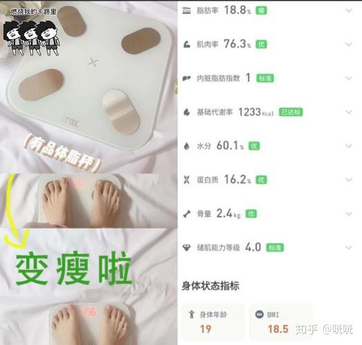 脂肪腿训练_肌肉腿矫正_瘦腿操下载