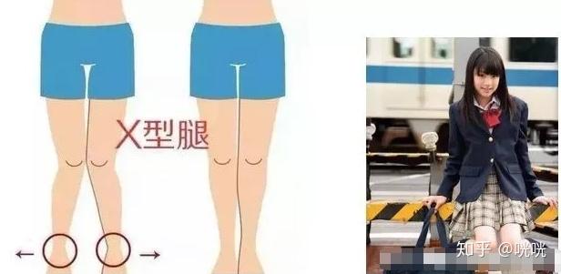 脂肪腿训练_肌肉腿矫正_瘦腿操下载