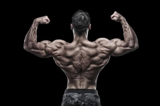 每天进行力量训练会减寿命吗_力量训练可以每天做吗_每天力量训练可以吗