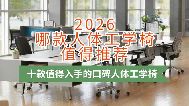 www.pg.qq.com 2026哪款人体工学椅值得推荐？十款值得入手的口碑人体工学椅