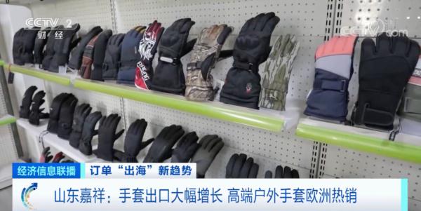 问鼎赏金女王pg官网入口下载手机版安 又一爆款！国产手套在欧洲卖爆了 这一县出口额超5亿元