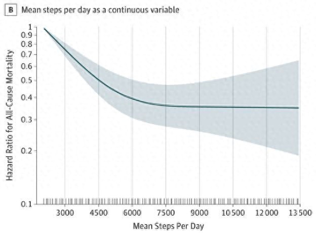 问鼎赏金女王pg官网入口下载 支付宝运动终极指南：每天应该走多少步？