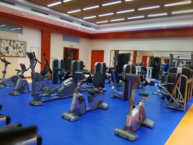 问鼎娱官网app下载入口 健身房器材有哪些？常用健身器械大全