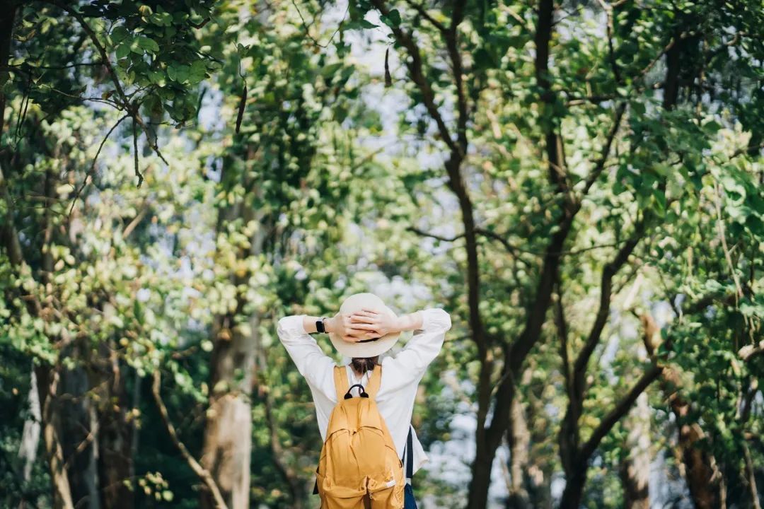 pg问鼎安卓下载 【健康】深呼吸，最简单的长寿动作！连内脏都锻炼到了