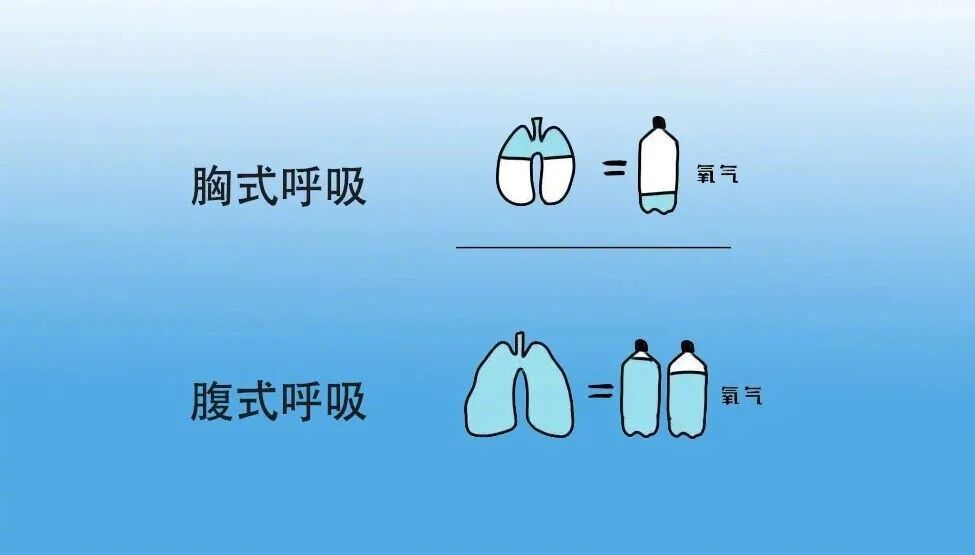 腹式呼吸方法_腹式呼吸法对提高注意力的好处_肚脐呼吸好处