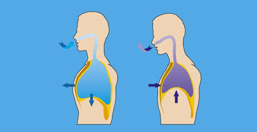 pg问鼎安卓下载 改成“腹式呼吸”后，睡眠不自觉变好了