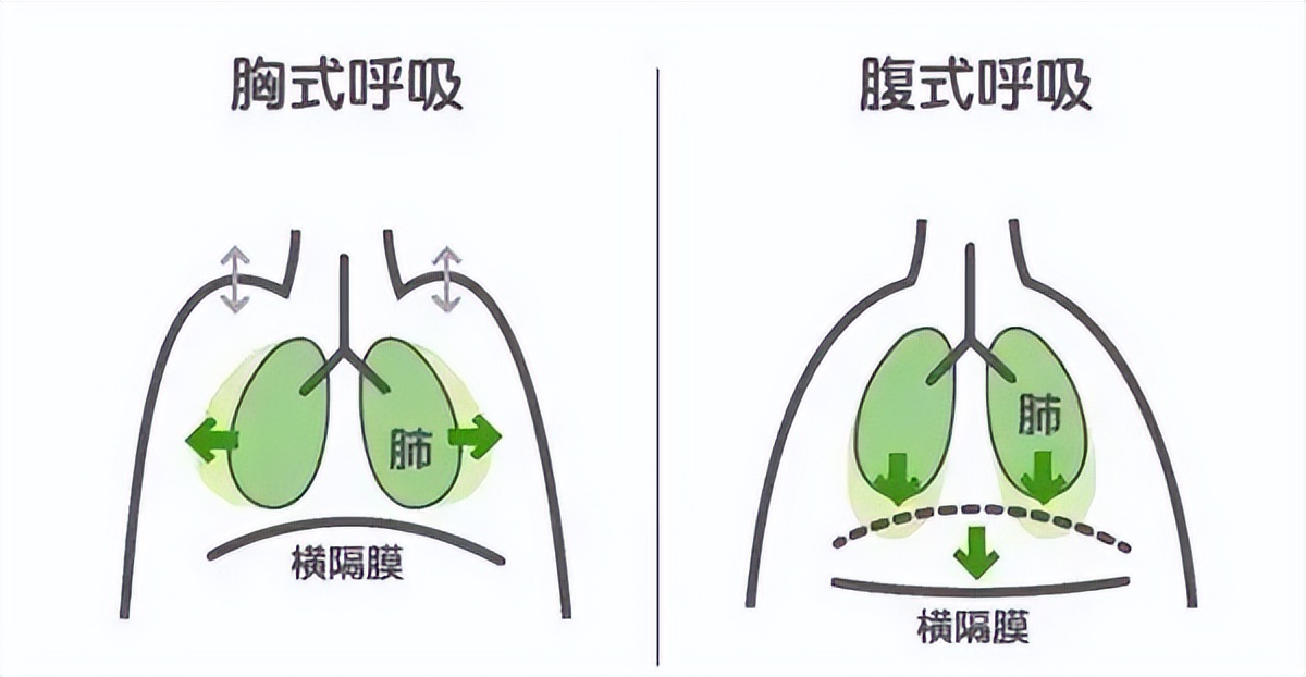 改善睡眠呼吸法_腹式呼吸好处_腹式呼吸法对提高注意力的好处