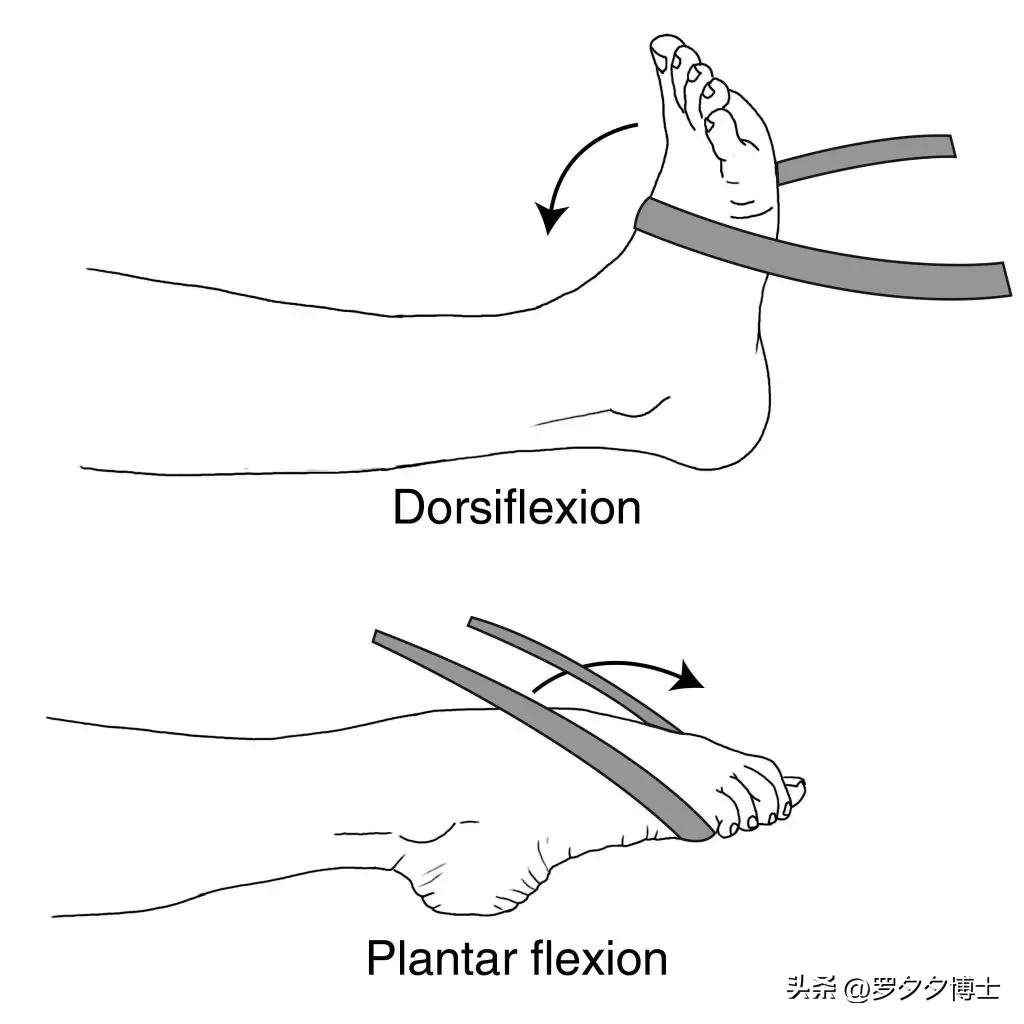 小腿萎缩恢复锻炼方法_卧床不起老年人锻炼方法_老年人卧床运动好处